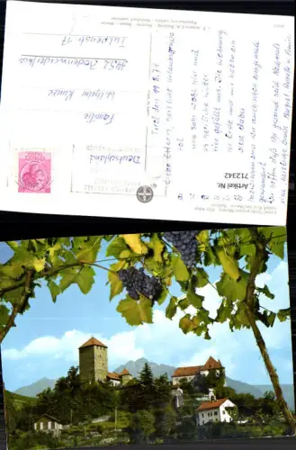 712342 Castel Tirolo presso Merano Alto Adige Schloss Tirol b. Meran Südtirol Wein Weintrauben Italy