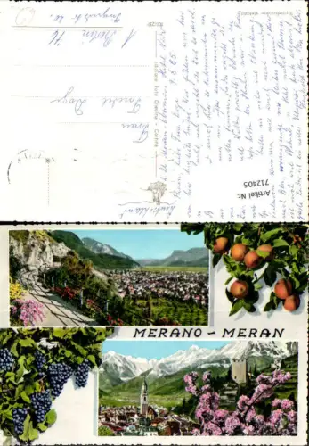 712405 Mehrbild AK Merano Meran Weintrauben Obst Italy