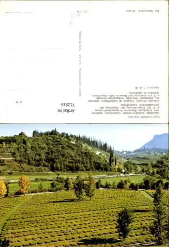 712916 Costermano Verona Deutscher Soldatenfriedhof Costermano Cimitero Militare Tedesco di Costermano Italy