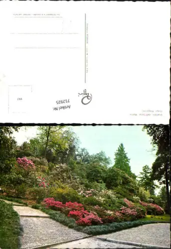 712925 Foto AK Lago Maggiore Giardini dell Isola Madre Blumen Italy