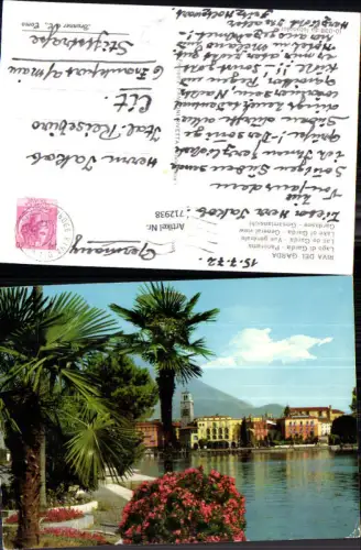 712938 Riva del Garda Lago di Garda Panorama Gardasee Gesamtansicht Palme Italy