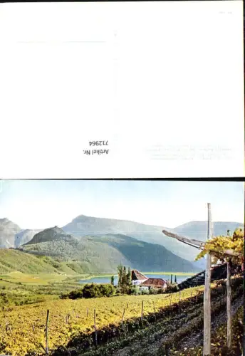 712964 Überetsch Kalterer See m. Ruine Leuchtenburg u. Schloss Ringberg Lago di Caldaro Castello Ringberg Italy