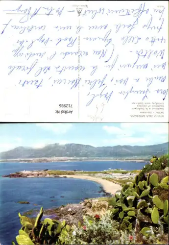 712986 Foto AK Sardegna Nora Panorama Sardinien Küste Kaktus Kakteen Italy