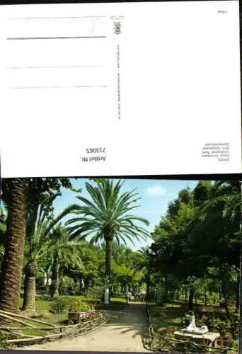 713065 Anzio Parco Comunale Gemeindepark Palme Italy