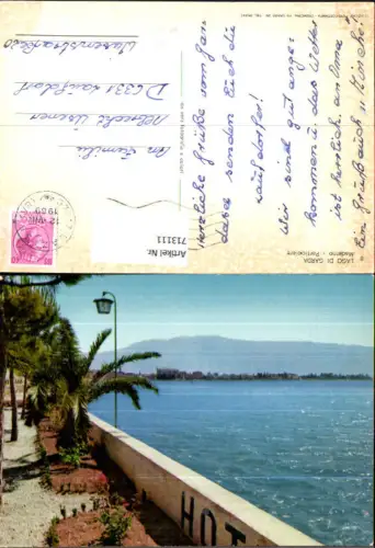 713111 Lago di Garda Maderno Particolare Gardasee Italy
