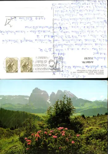713210 Dolomiten Dolomiti Seiser Alm geg. Langkofel Alpe di Siusi verso il Sassolungo Italy