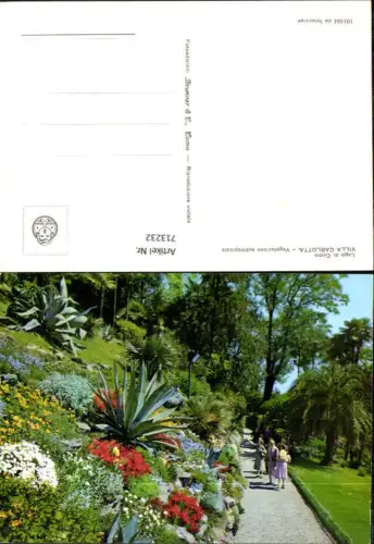 713232 Foto AK Lago di Como Villa Carlotta Vegetazione subtropicale Kakteen Kaktus Palmen Italy