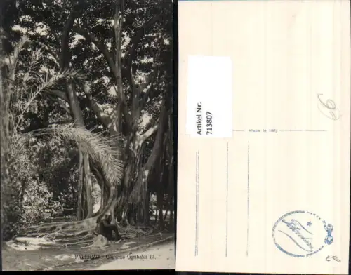 713807 Foto AK Palermo Giardino Garibadli III Garden Park Palme Italy