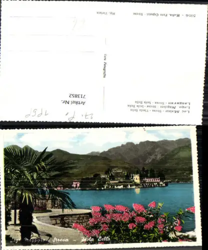 713852 Foto AK Lago Maggiore Stresa Isola Bella Palme Italy