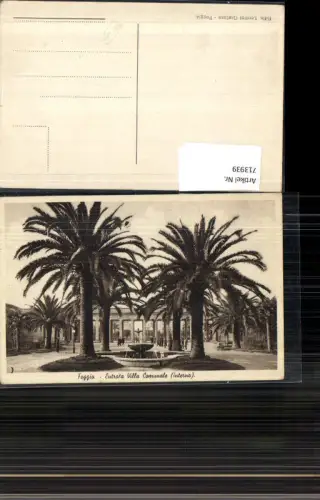713939 Foggia Entrata Villa Comunale interno Palmen Italy