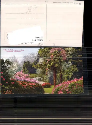 713953 Villa Carlotta Lago di Como Comersee Vegetazione subtropicale Palmen Blumen Italy