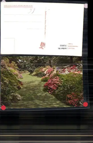 713955 Lago di Como Comersee Villa Carlotta Tremezzina Cadenabbia Garten Blumen Italy