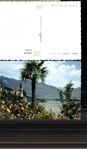 713976 Foto AK Ronco Seuro Ascona Lago Maggiore Kirche Palme Ufer Italy