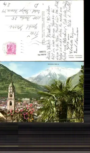 713988 Merano Meran Panorama Palme Italy