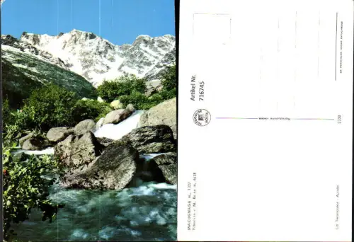 716745 Foto AK Macugnaga Pittoresco e Monte Rosa Italy