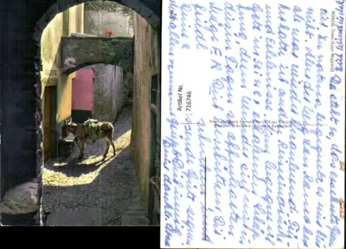 716746 Ronco Ticino Lago Maggiore Esel in Gasse Italy