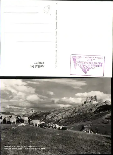420827,Veneto Belluno Pascolo al Passo Falzarego b. Cortina Schafe Bergkulisse