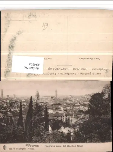 494502,Veneto Verona Panorama preso dal Giardino Giusti Totale