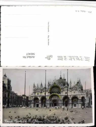 502427,Veneto Venezia Venedig Basilica di S. Marco Piccioni Tauben Kirche