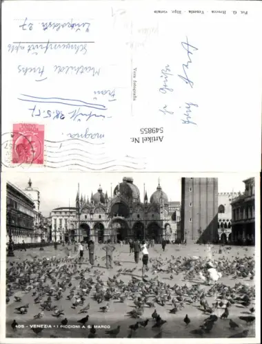 549855,Veneto Venezia Venedig Piccioni San Marco Tauben Taubenfütterung