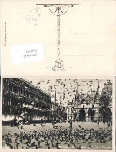 558394,Veneto Venezia Venedig Piazza de. San Marco Tauben