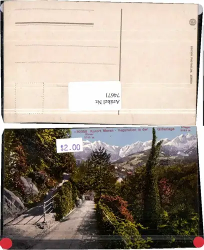 74671,Meran Vegetation Gilfanlage Südtirol 1915