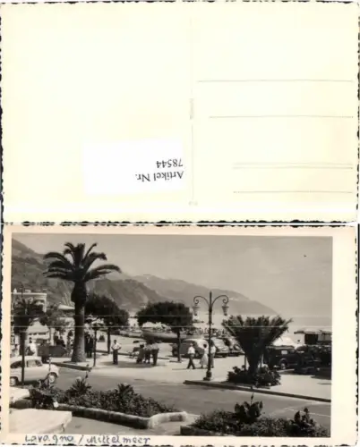 78544,FotoAK Lavagna b. Genua Palmen 1955