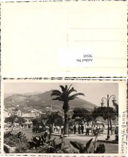78545,Lavagna b. Genua Palmen Strassenpartie