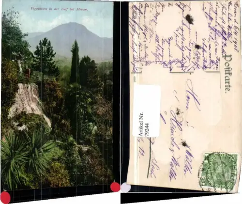 79244,Vegetation bei Meran Gries in Gilf 1910