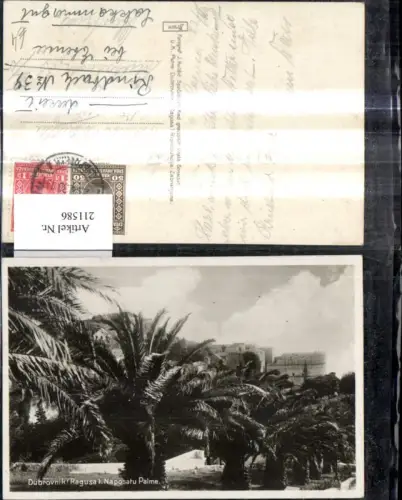 211586,Dubrovnik Ragusa Naposatu Palme