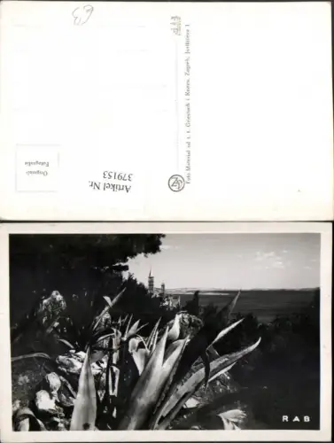 379153,Croatia Rab Partie Agaven