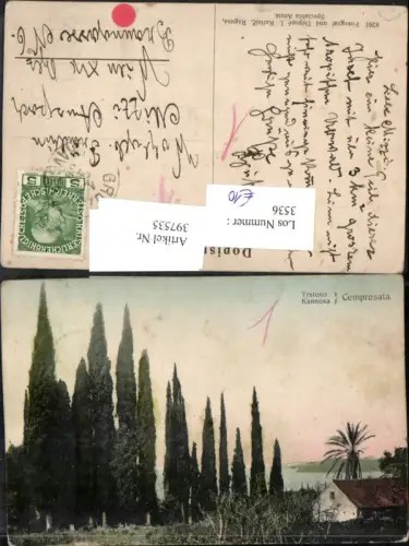 397535,Croatia Trsteno Kannosa Canossa Cempresata b. Dubrovnik Ragusa Zypressen