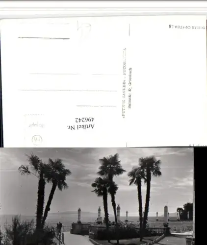 496242,Croatia Opatija Abbazia Palmen