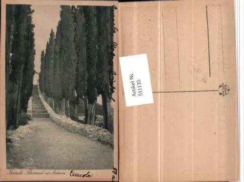 511135,Croatia Korcula Kurzel Drvored sv. Antuna Zypressen Stiege