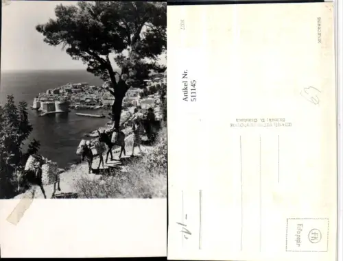 511145,Croatia Dubrovnik Ragusa Teilansicht Eseln