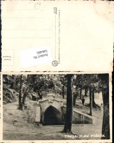 546485,Croatia tolle Foto-AK Tekija Slav. Pozega Slawonien