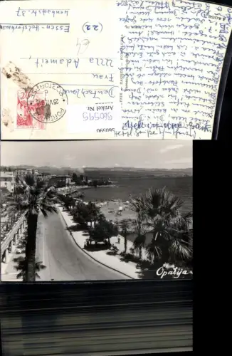 560595,Croatia Opatija Strandpromenade Palmen