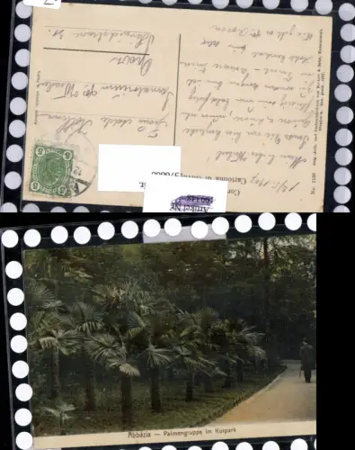 576868,Croatia Abbazia Opatija Parkmotiv Park Palmen