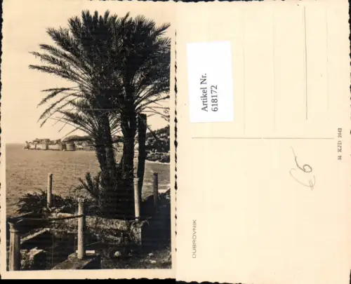 618172,Foto Ak Dubrovnik Ansicht m. Palme Croatia
