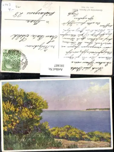 181807,Künstler AK sign. Ress Ginsterblüte auf Rancon Brioni Kroatien