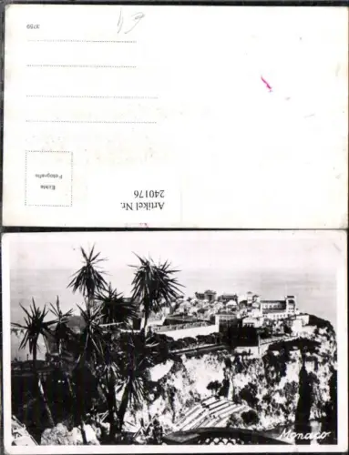 240176,Monaco Teilansicht Palmen