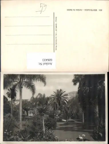 606433,Monaco Monte Carlo Jardins du Casino Garten Kasino Palmen