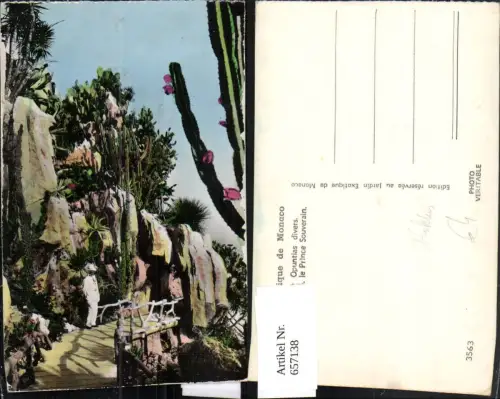 657138,Monaco Yuccas Cereus st Opuntias divers Kaktus Kakteen