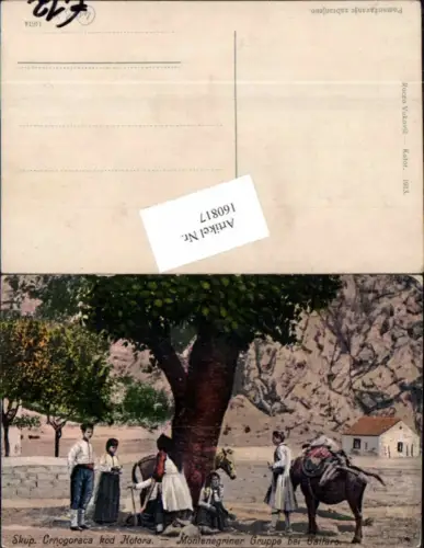 160817,Kotor Cattaro Dalmatien Montenegro Montenegriner Gruppe Typen Esel Kotora