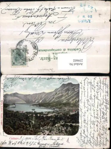 239602,Cattaro Totale