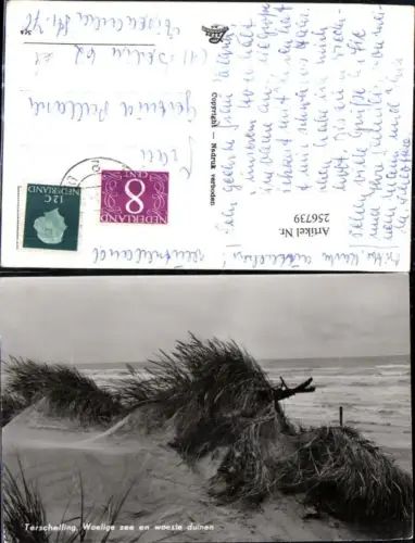256739,Terschelling Woelige zee en woeste duinen Dünen Strand