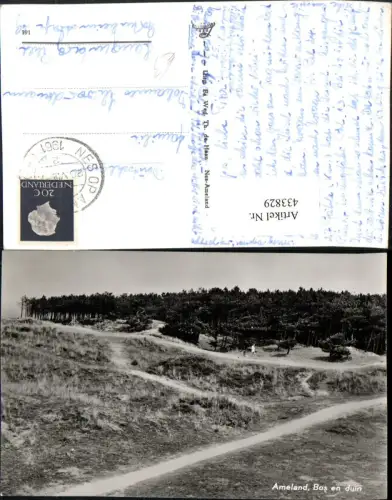 433829,Netherlands Ameland Bos en duin Landschaft