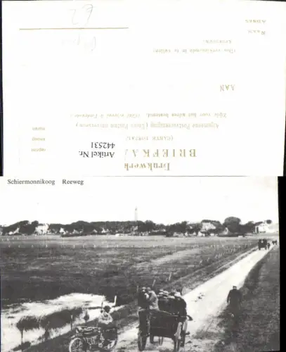 442531,Repro Netherlands Schiermonnikoog Reeweg Teilansicht Straße