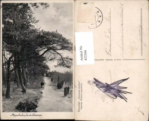 452566,Netherlands Appelscha In den Duinen Partie