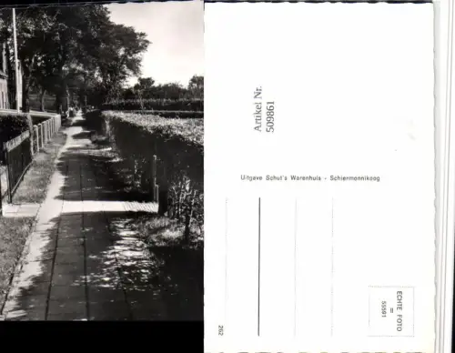 509861,Netherlands Schiermonnikoog Voorstreek Wegpartie